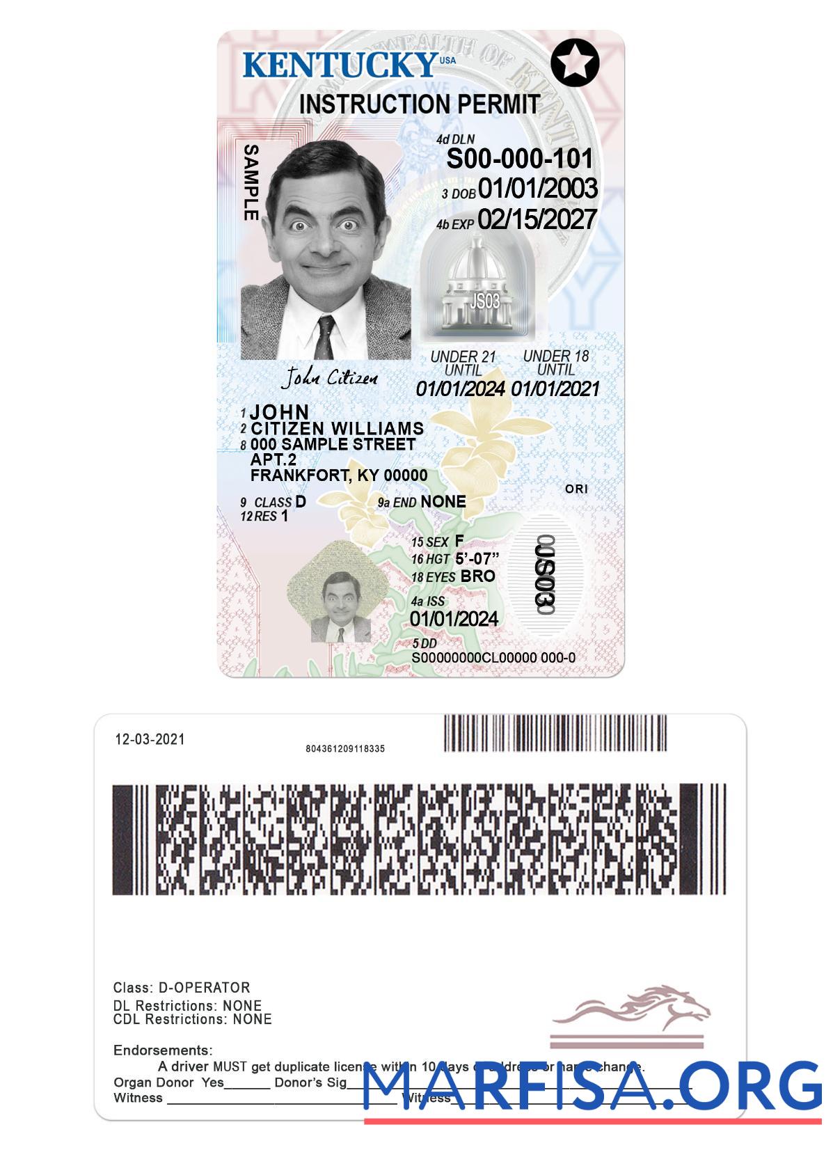 Downloadable USA Kentucky driving license under 21 sample